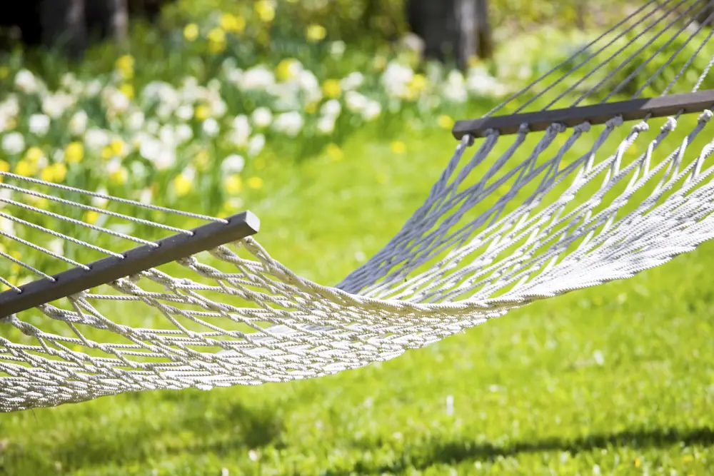 Eine Hängematte im sonnigen Frühlingsgarten